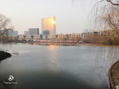 -大兴滨河森林公园