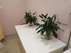 -天使医生VIP孕期孕检产检(市二医院店)
