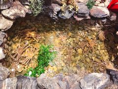 -綱元·海鲜豆捞(明州里店)