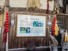 -林坑古村落