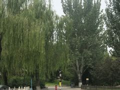-丰台花园