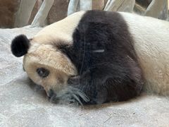 -宁波野生动物园