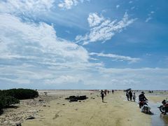 -红树林天天赶海