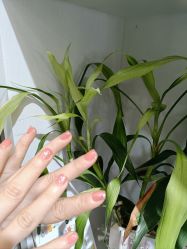 -CM.Nail美甲美睫