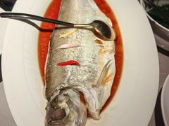 -醉庐·新上海菜(南京西路店)