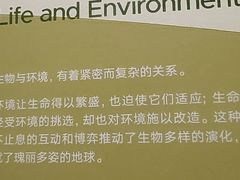 -上海科技馆(地铁站)