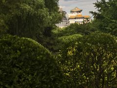 -莲花池公园