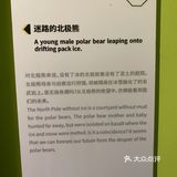 打卡·国家地理影像展
