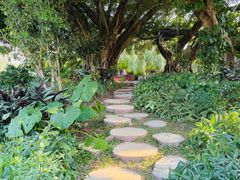 -人民公园(罗湖区)