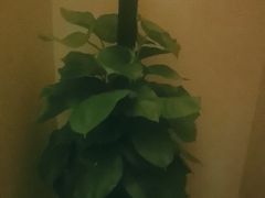 -水云间水疗会馆(福强路店)