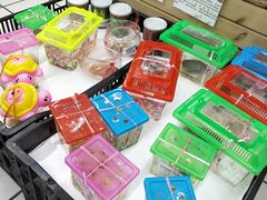 -世纪联华超市(外海店)