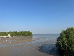 -深圳湾公园(南山区)