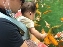 -顺德南宏海立方海洋公园
