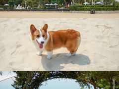 -惠州金海湾嘉华度假酒店