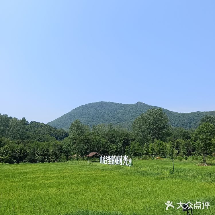 老山秘境新添打卡地，田园诗画品村宴风情❗