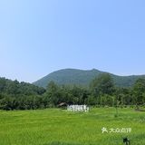 老山秘境新添打卡地，田园诗画品村宴风情❗