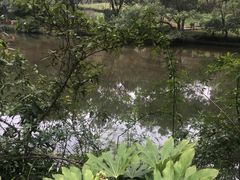 -阿哈湖国家湿地公园