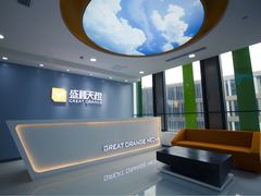 -上海盛视天橙传媒股份有限公司