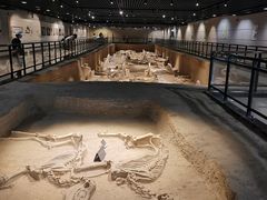 -洛阳周王城天子驾六博物馆