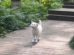 -上海怡沁园度假酒店