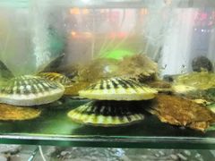 -四海鲜渔家菜(黄金海岸店)