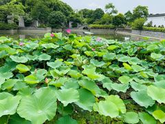 -嬉乐湾休闲旅游区