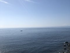 -涉地可支