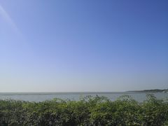 -贡湖湾湿地公园