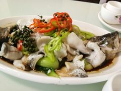 -胖子菜馆(隆昌路店)