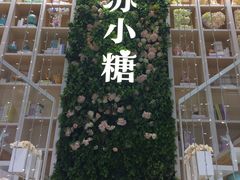 -苏小糖(鼓浪屿三丘田花园店)