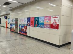-白石桥南(地铁站)