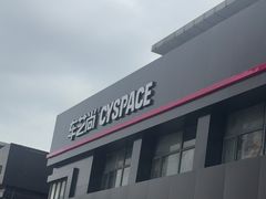 -车艺尚上海龙膜隐形车衣汽车贴膜旗舰店