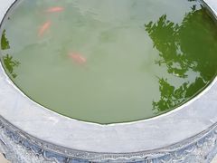 -真庆观