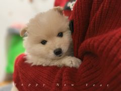 -太原茂业天地购物中心
