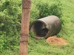 -济南野生动物世界