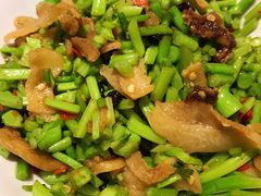 冬苋菜梗子炒油渣-壹盏灯(惠农店)