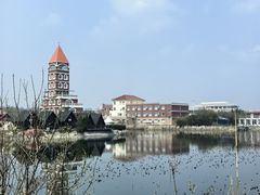 -日照海滨国家森林公园