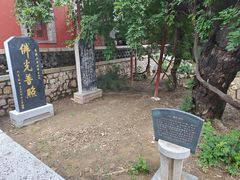 -泰山风景名胜区-普照寺