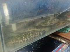 -鱼之家小四川水煮鱼