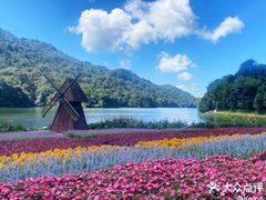 -广州市石门国家森林公园