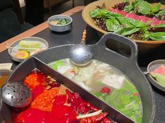 -大龙燚·旷野鲜火锅(广州首店)