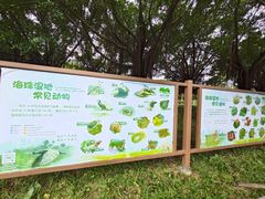 -海珠湖公园
