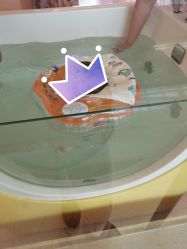 -喜宝母婴月子会所
