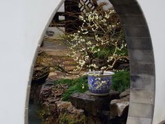 -上海醉白池公园