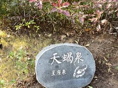 -清远熹乐谷温泉度假酒店