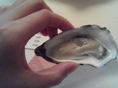 android_upload_pic-Oyster Talks 四度蚝法餐厅