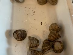 -帐篷客·溪龙茶谷度假酒店