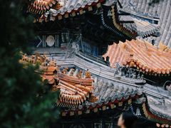 -北京艺术博物馆(万寿寺)