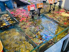 -桂园白粥·潮汕老味道