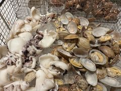 -顺德美的万豪酒店·自助餐·贡厨